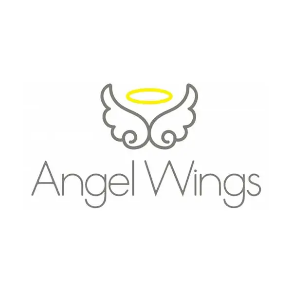 angel wings logo